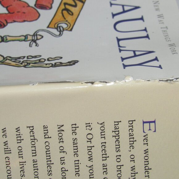 The Way We Work by David Macaulay – Getting to Know the Amazing Human Body – HC - Picture 8 of 8